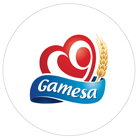 Brands We Represent: Gamesa